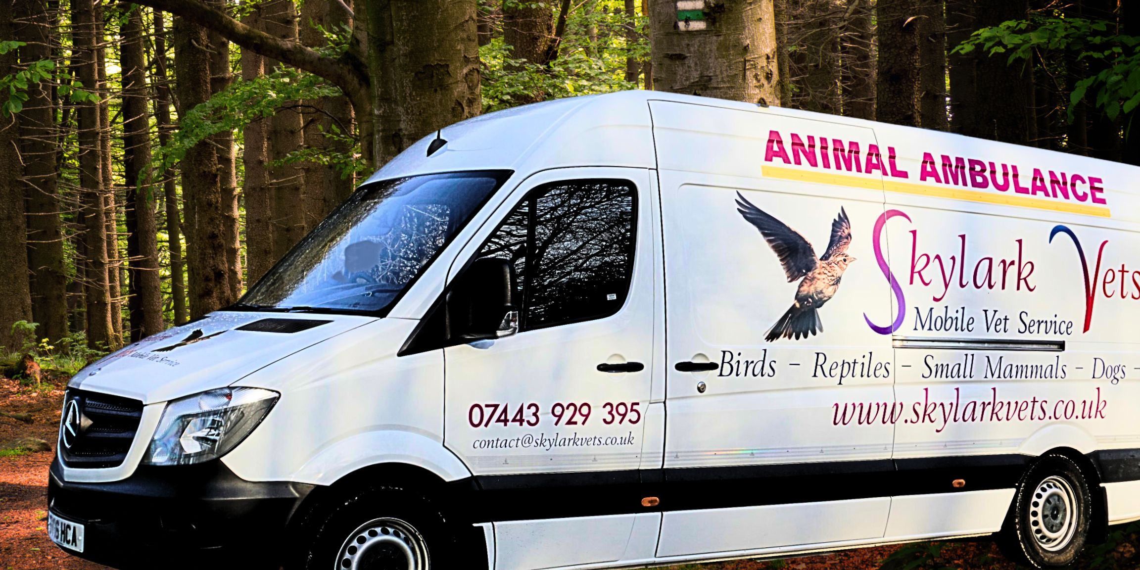 Mobile vet service - pet ambulance for home visits