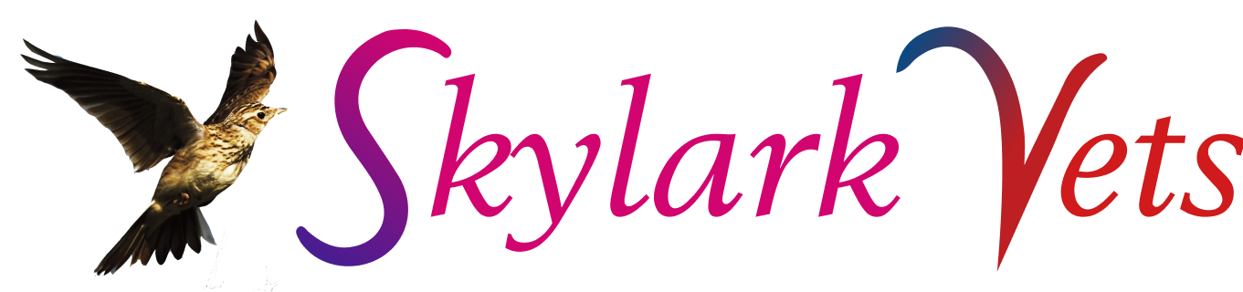 Skylark Vets Logo