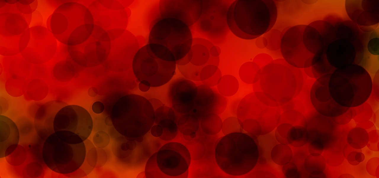 Blood cells plasma