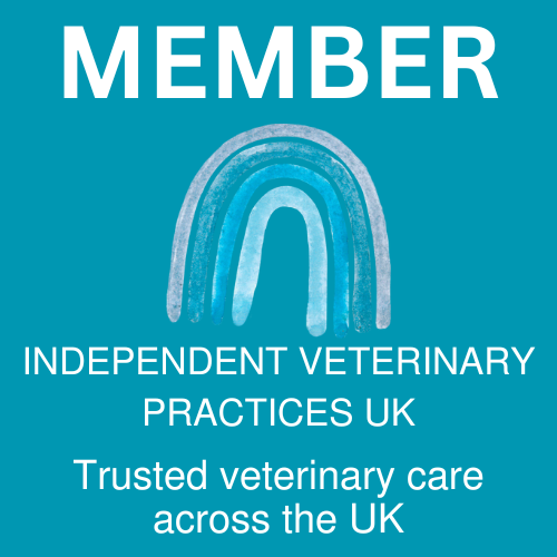 Member, Independent Veterinary Practices UK